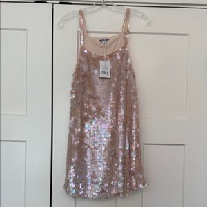 Walter Baker Sequin Mini Dress in Pink and Silver